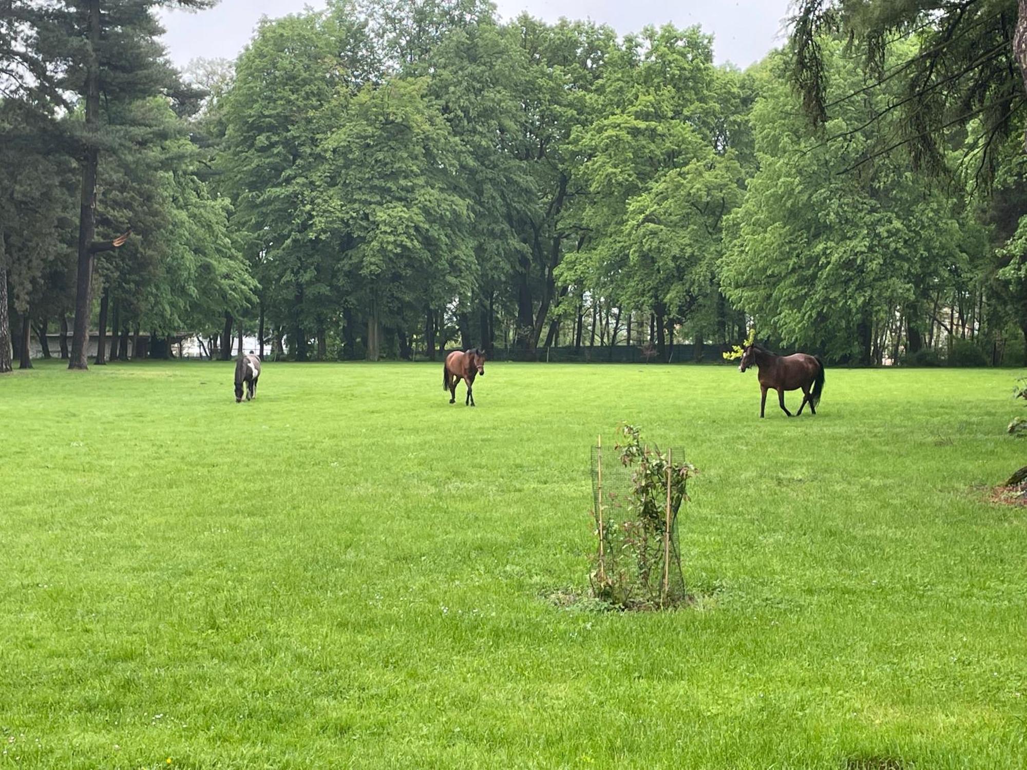 Palac Zbylitowskich Zbylitowska Gora Екстериор снимка